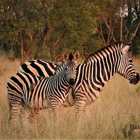 Braai Safaris Lodge Hoedspruit Buitenkant foto