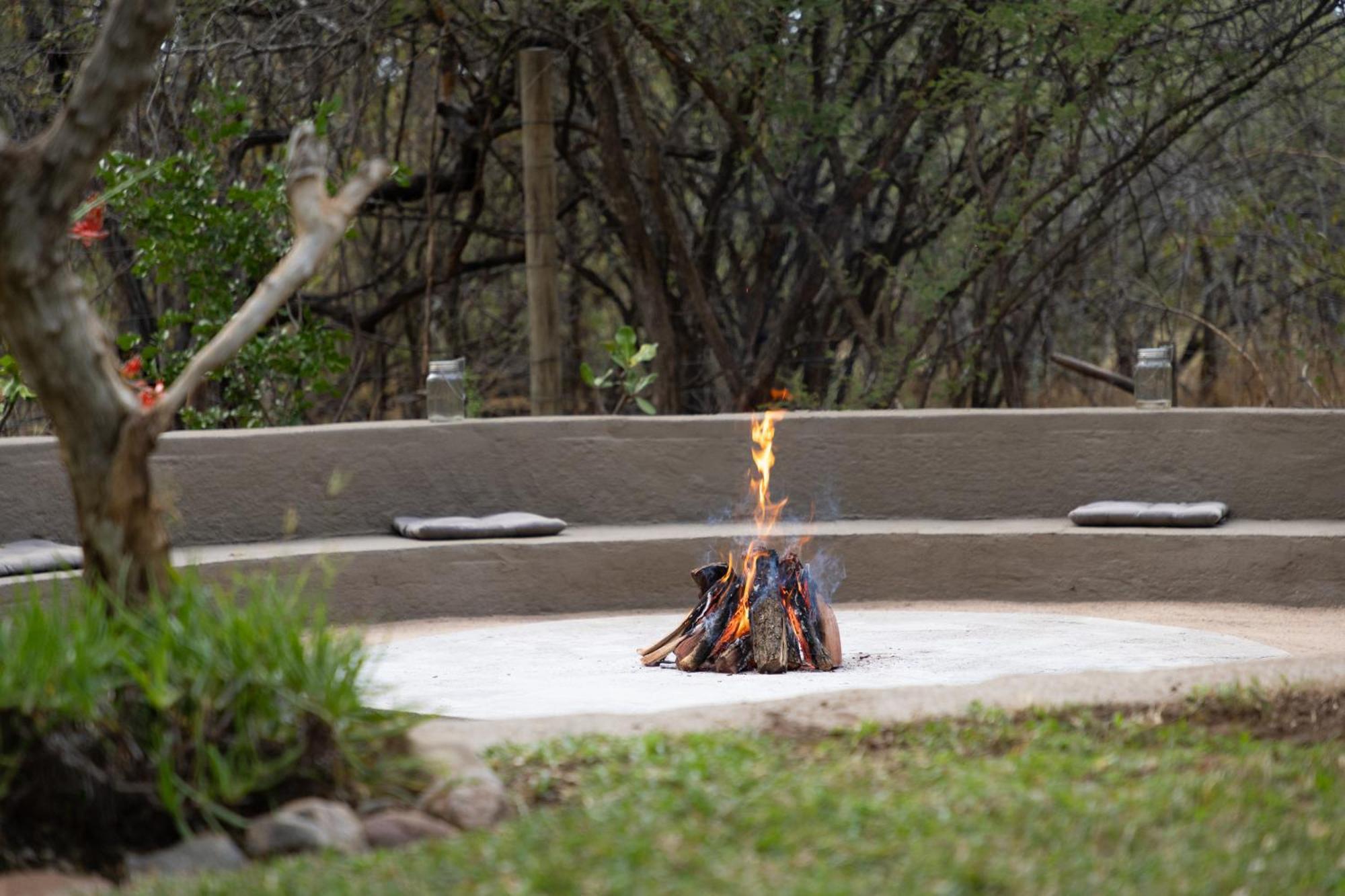 Braai Safaris